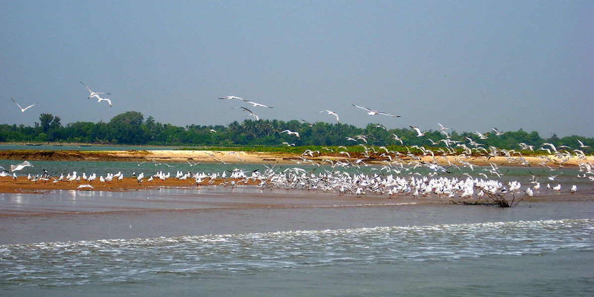 chilika-lake-tour-packages