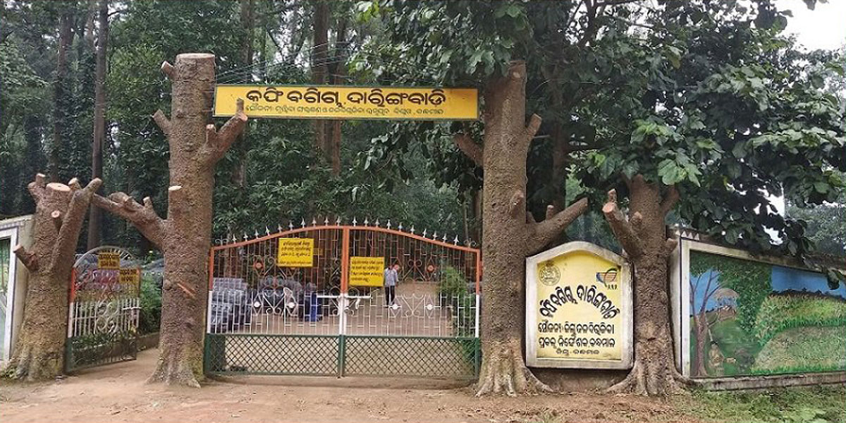 coffee-garden-daringbadi