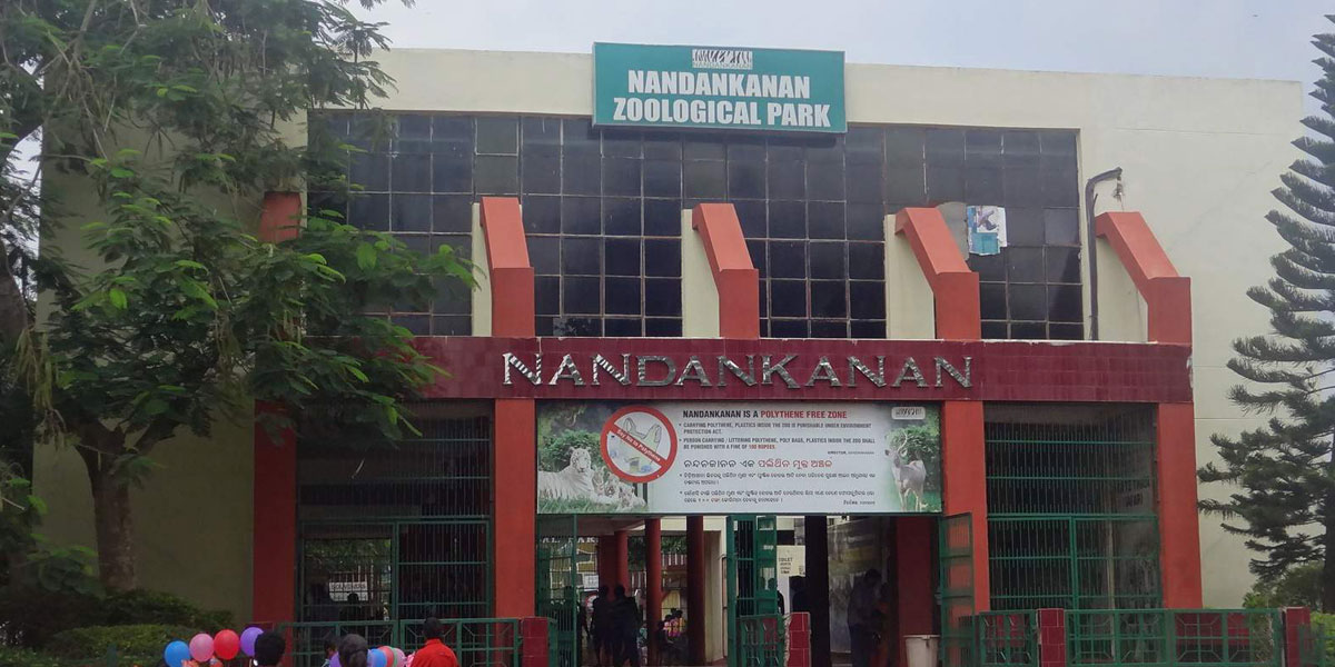 nandankanan-zoo-bhubaneswar-odisha