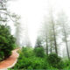 the-amazing-daringbadi-is-a-visit-away-with-the-best-daringbadi-tour-package