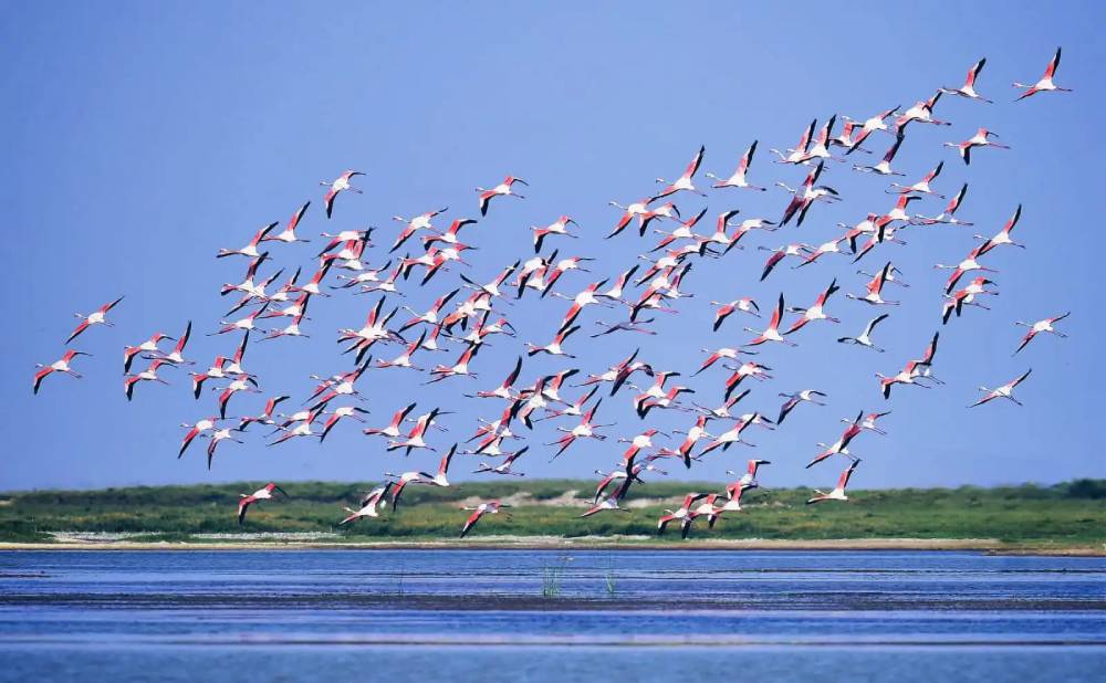 odisha-tour-discover-the-culture-nature-and-heritage-of-odisha-tourism