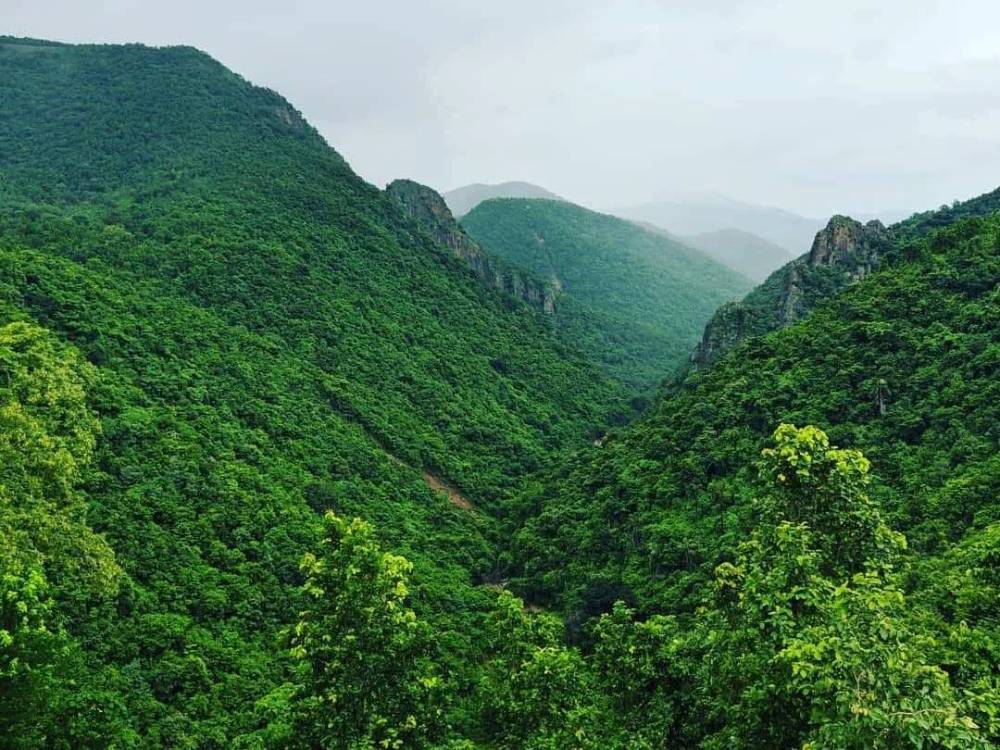 daringbadi-nature-camp-a-peaceful-nature-stay-for-a-refreshing-weekend-in-odisha