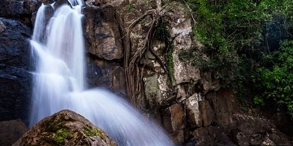 Daringbadi-Nature-Camp-A-Serene-Escape-to-the-Kashmir-of-Odisha