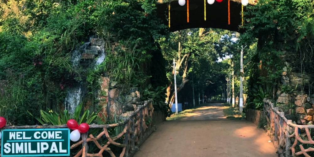 Similipal-Tour-Package-Explore-the-Wild-Beauty-of-Odishas-Premier-Tiger-Reserve-with-Odisha-Tourism