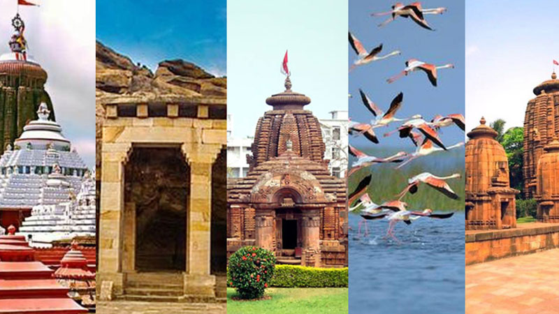Step-into-Puri-with-Odisha-Tourism-Best-Student-Group-Tour-Experience-in-Odisha