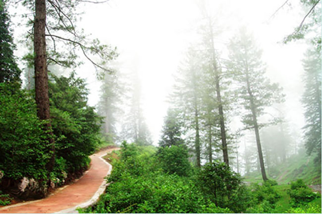 the-amazing-daringbadi-is-a-visit-away-with-the-best-daringbadi-tour-package