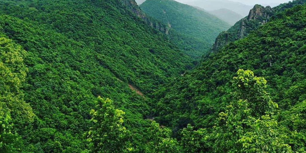 Daringbadi-Odisha-Tour-Packages
