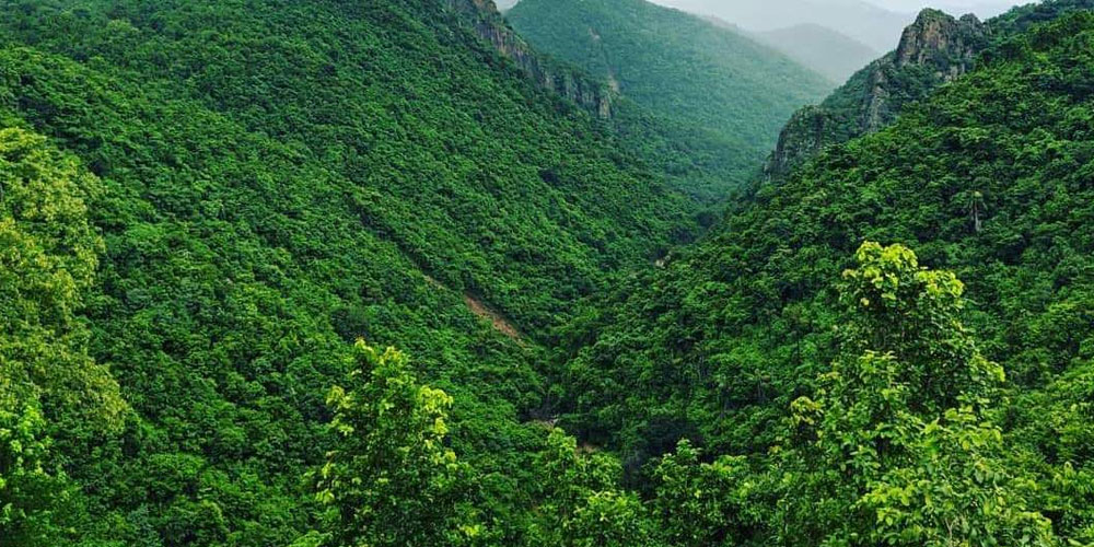 Daringbadi-Senior-Citizen-Tour-Packages