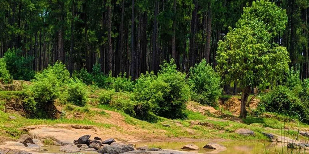 Daringbadi-Tours-Package-From-Bhubaneswar