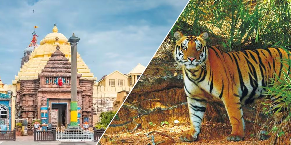 Jagannath-Puri-With-Jungle-Tour