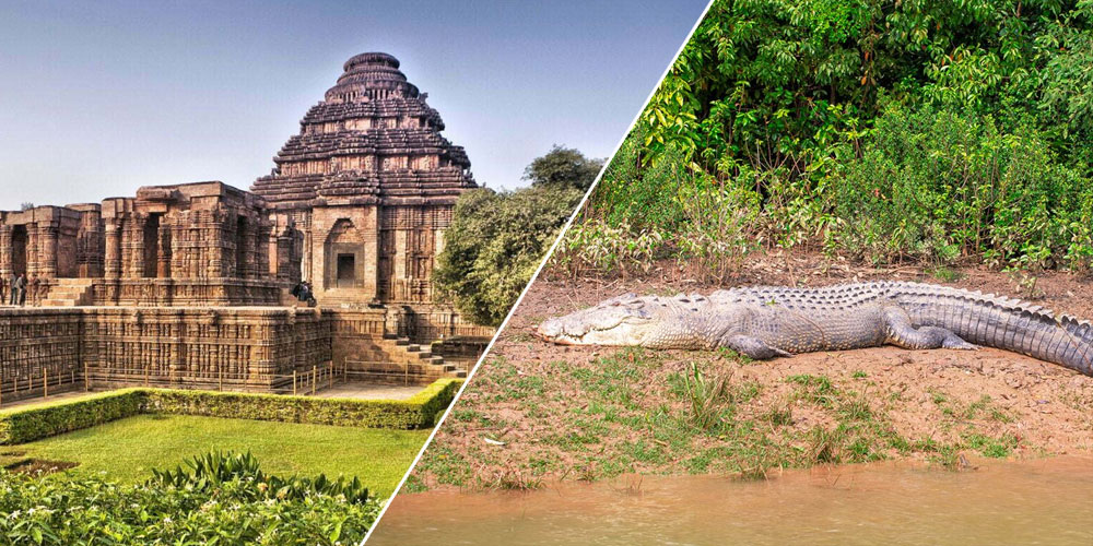 Odisha-Diamond-Tringle-With-Wildlife-Tour