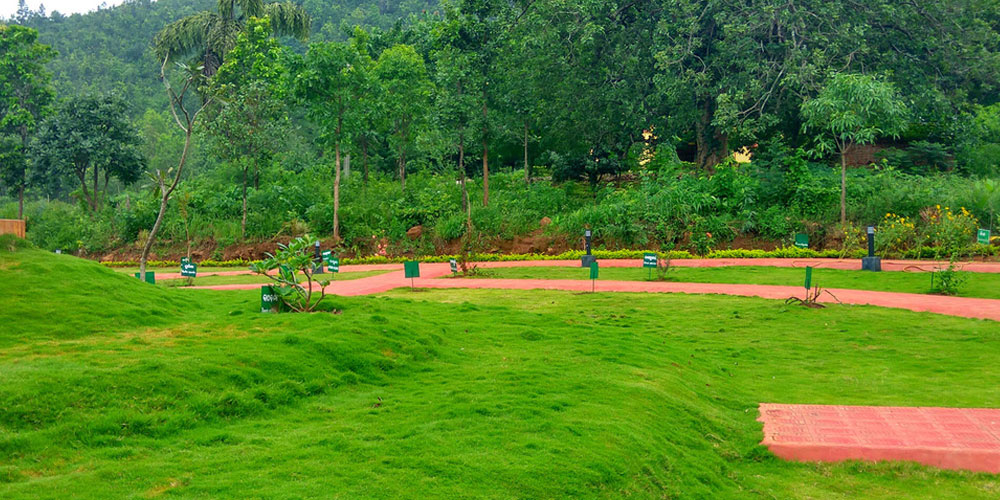 Odisha-Kashmir-Daringbadi-Tour-Packages