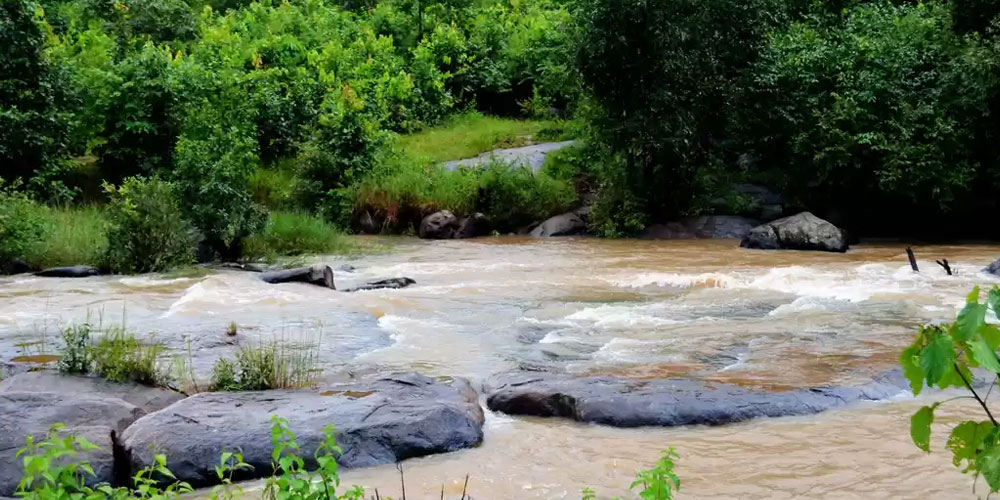 Odisha-Kashmir-Daringbadi-Tours