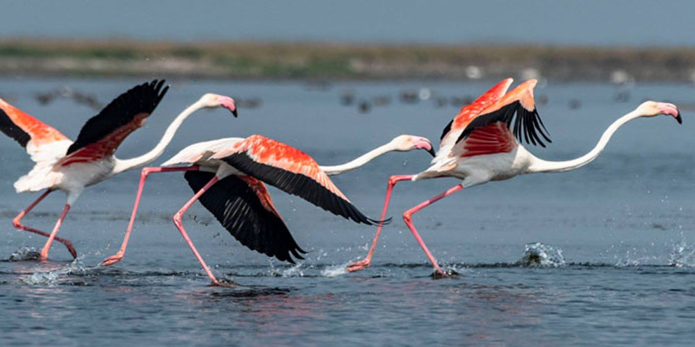 Odisha-Kashmir-Tour-Packages