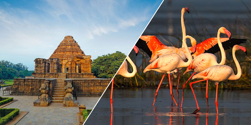 Odisha-Senior-Citizen-Tour
