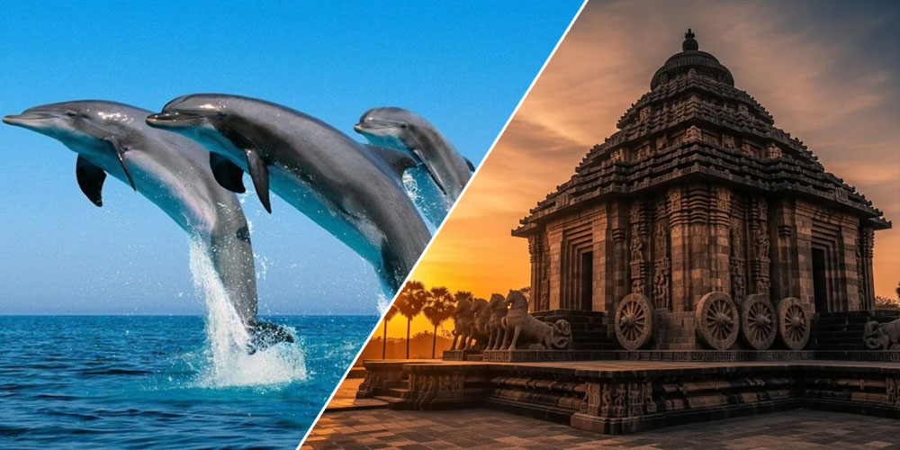 Odisha-Tour-Package