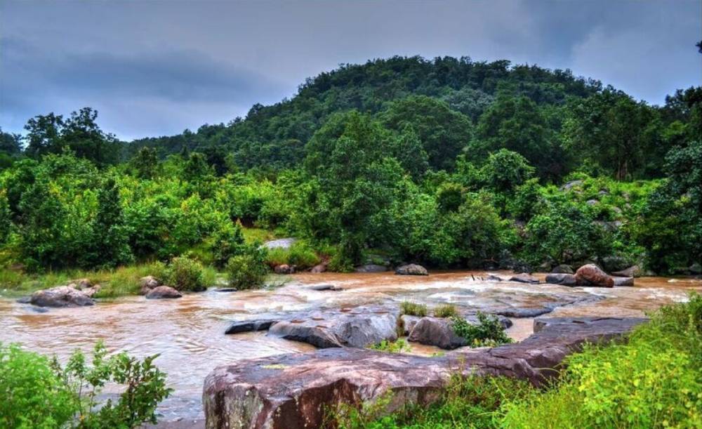 resort-in-daringbadi-for-a-peaceful-hill-stay-with-nature-comfort-and-local-charm