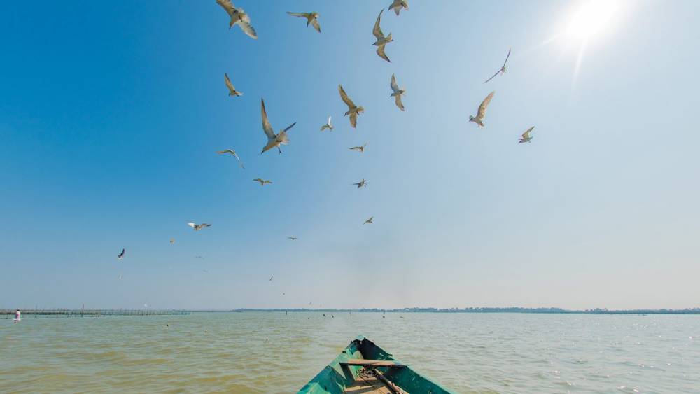 senior-citizen-odisha-tour-peaceful-comfortable-spiritual-journey-with-odisha-tourism